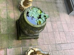 -峨眉山报国寺