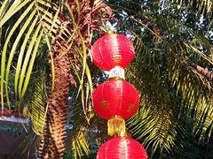 -东风公园