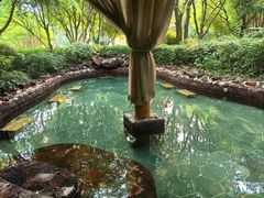 -苏州湾·王焰温泉