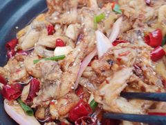 -蛙小侠(珠海华发商都店)