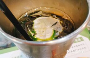 Vietnamese Camellia Lime Honey