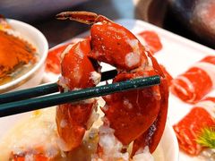 -喜聚薈·花膠雞海鮮火鍋(越秀店)