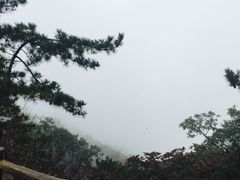 -罗田薄刀峰风景区