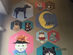 -MOLLY'S萌宠生活馆