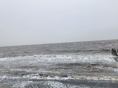 -天津东疆湾沙滩景区