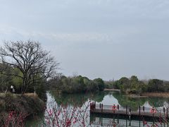 -西溪国家湿地公园