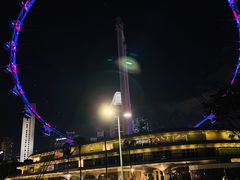 -新加坡摩天观景轮
