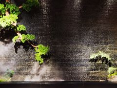 -丽华园(青少年宫店)