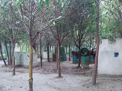 -勇士之星真人CS·团建·拓展(清水河公园店)