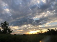 -成都蒲江花样年福朋喜来登度假酒店·宜客乐西餐厅