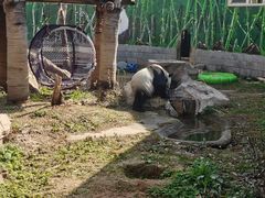 -南昌动物园