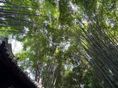 -成都杜甫草堂博物馆