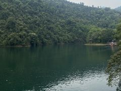 -鼎湖山风景区