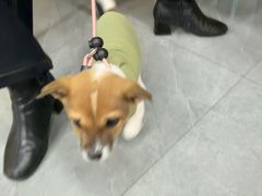 -贝利宠物医院·骨科·眼科·肿瘤转诊中心(南坪诊疗中心)