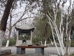 -云龙山