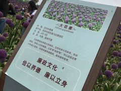 -保利石象湖景区