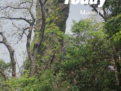 -马仁奇峰