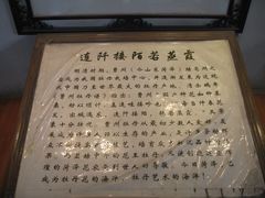 -神州牡丹园