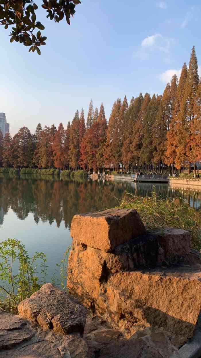九莲塘公园-"【位置】位于镜湖区的核心位置【环境&布.