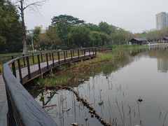 -映月湖公园