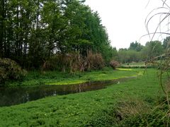 -桤木河湿地公园