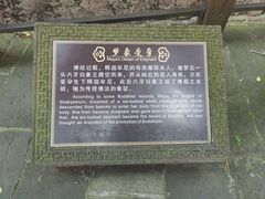 -峨眉山报国寺