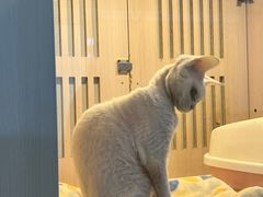 -乐宠宠物店(世纪金源店)