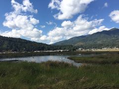 -腾冲北海湿地