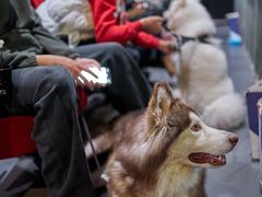 -保利国际影城(万家邻里店)