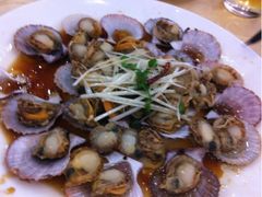 扇贝-海岛渔村大酒店(云霄路店)