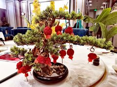 -陶苏·品味融合川菜(龙湖源著天街店)