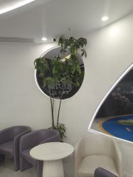 -小阿福儿童摄影(摩尔城店)