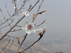 -北京凤凰岭