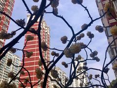 -Dough&Joe团憩(瑞虹天地月亮湾店)