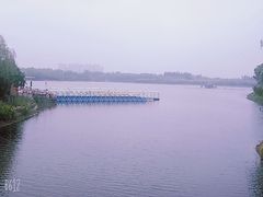 -大兴滨河森林公园