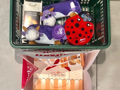 -米兰马尔彭萨国际机场