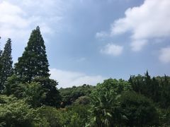 -白马涧龙池景区