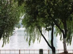 -橘子洲景区