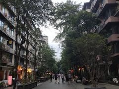 -泡桐树街