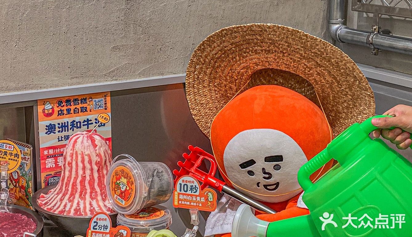 植树节点菜送盲盒--体验了人生第一次种菜