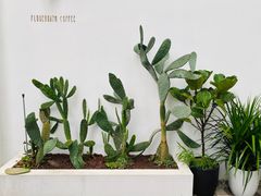-花沐 FLOWER BATH(凤凰城店)
