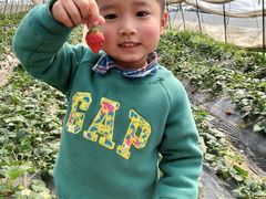 -小鱼草莓采摘园农家乐·小鱼餐厅