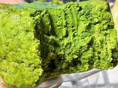 -临沂大学体育馆
