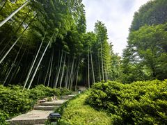 -杭州黄龙洞