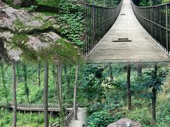 -龙峪湾国家森林公园