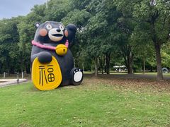 -上海海湾国家森林公园