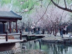 -三里河公园