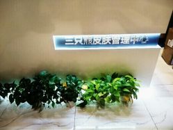 -三只熊皮肤管理中心