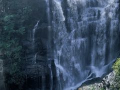 -海南热带雨林国家公园吊罗山景区