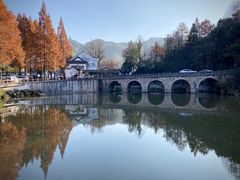 -九华山聚龙大酒店